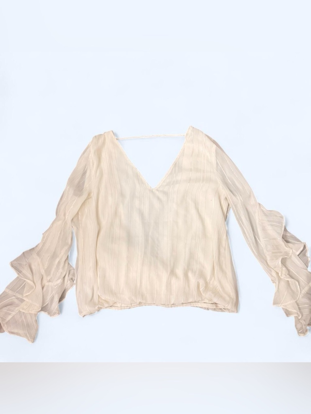 Sheer V-Neck Long Sleeve Blouse - White